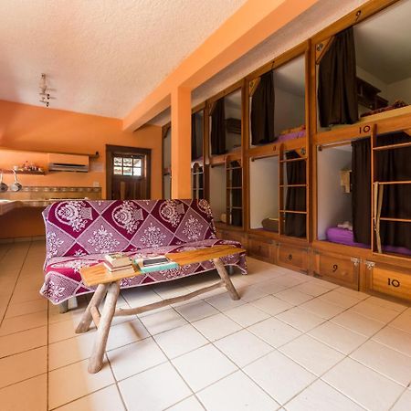 A Piece Of Ground Hostel Punta Gorda Exterior photo